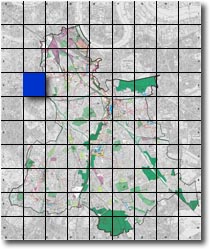 index map