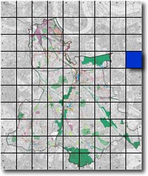 index map