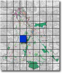 index map