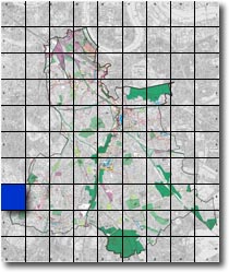 index map