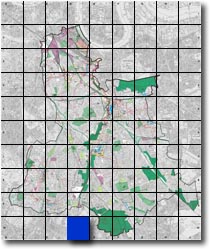 index map