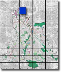 index map