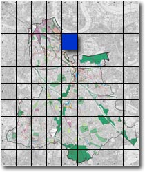 index map