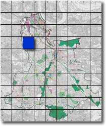 index map