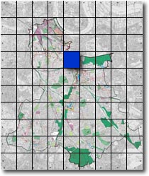 index map