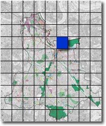 index map