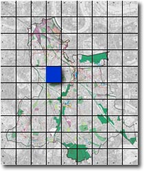 index map