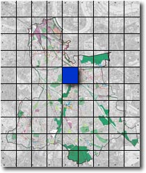 index map