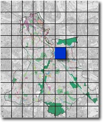 index map