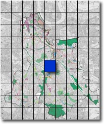 index map