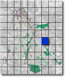 index map