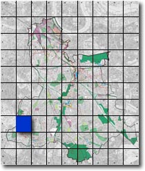 index map