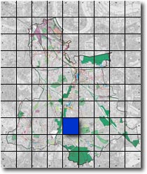 index map