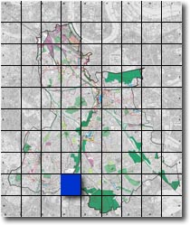 index map